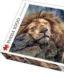 Hračky puzzle TREFL - Puzzle Spiaci lev