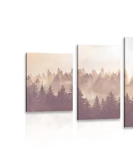 Obrazy prírody a krajiny 5-dielny obraz hmla nad lesom