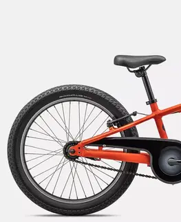 Bicykle Specialized Riprock Coaster 20 20 inch. wheel