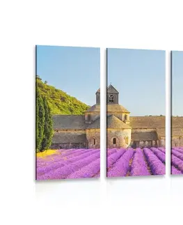 Obrazy kvetov 5-dielny obraz Provensálsko s levanduľovými poľami