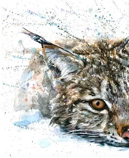 Tapety zvieratá Tapeta rys v akvarelovom prevedení