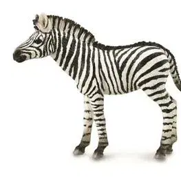 Hračky - figprky zvierat MAC TOYS - Zebra