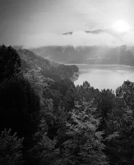 Samolepiace tapety Samolepiaca fototapeta rieka uprostred lesa v čiernobielom prevedení