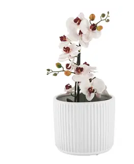 Kvetináče a truhlíky Hlinený kvetináč, biela matná, KELSO TYP 2