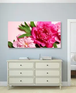 Obrazy kvetov Obraz pivonky v ružovej farbe