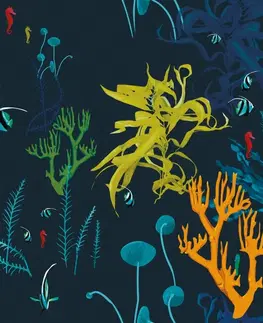 Tapety príroda Tapeta krásy podmorského sveta
