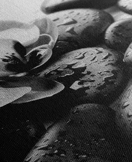 Čiernobiele obrazy Obraz krásna súhra kameňov a orchidey v čiernobielom prevedení