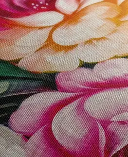 Obrazy kvetov Obraz pestrofarebný svet kvetín