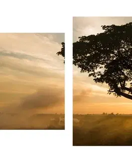 Obrazy prírody a krajiny 5-dielny obraz slon pri východe slnka