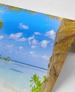 Samolepiace tapety Samolepiaca fototapeta relax v tropickom rezorte