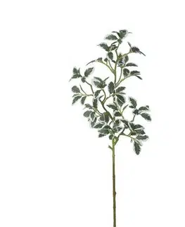 Kvety Umelá mini vetvička fikusu, v. 73 cm