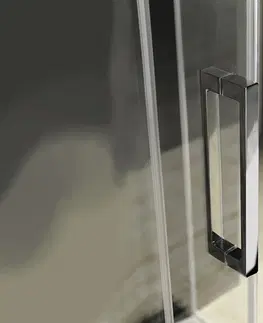 Sprchovacie kúty SAPHO - FONDURA sprchové dvere 1100, číre sklo GF5011
