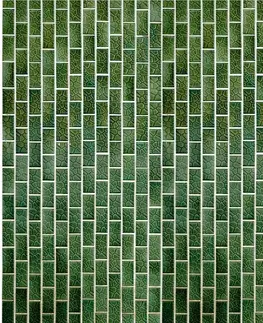Dekoračné panely Sklenený panel 60/60 Lizard Esg
