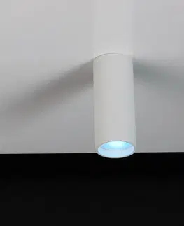 SmartHome bodové svetlá LUTEC LED stropné bodové svetlá Stag, CCT a RGBW, biela