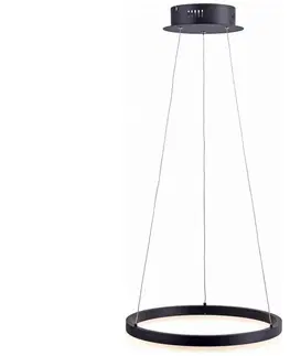 Svietidlá Paul Neuhaus Paul Neuhaus 2381-13 - LED Stmievateľný luster na lanku TITUS LED/28W/230V 