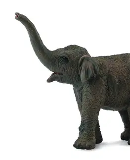 Hračky - figprky zvierat COLLECTA - Slon Ázijský - Sloníča