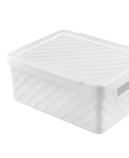 Úložné boxy Heidrun Úložný box s vekom 36 x 27 x 14 cm