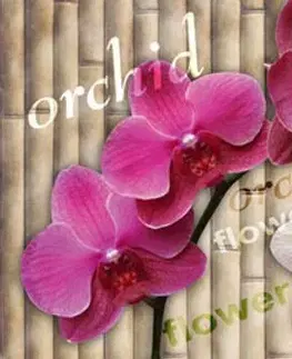 Tapety Samolepiaca fototapeta do kuchyne nádherná orchidea