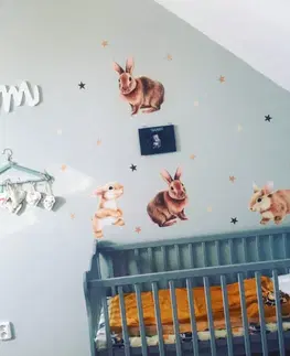 Nálepky na stenu Nálepky na stenu - Zajačiky do detskej izby