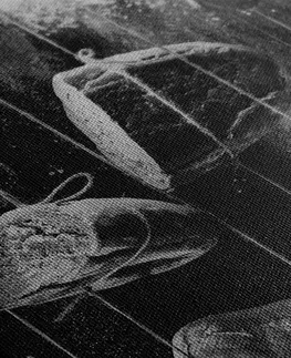 Čiernobiele obrazy Obraz visiace pečivo na lane v čiernobielom prevedení