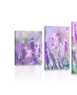 Obrazy kvetov 5-dielny obraz kúzelné kvety levandule