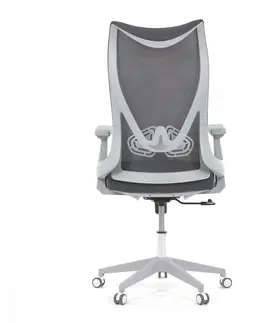 Kancelárske stoličky Kancelárska stolička KA-S248 Autronic Sivá