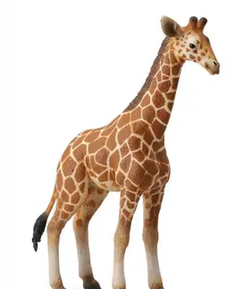 Hračky - figprky zvierat COLLECTA - Žirafa - mláďa