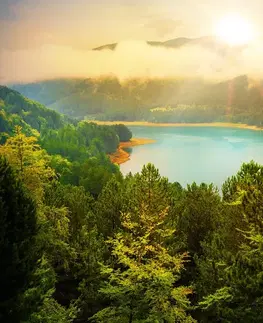 Obrazy prírody a krajiny Obraz rieka uprostred zeleného lesa