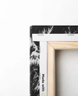 Čiernobiele obrazy Obraz drevený domček pri zasnežených boroviciach v čiernobielom prevedení