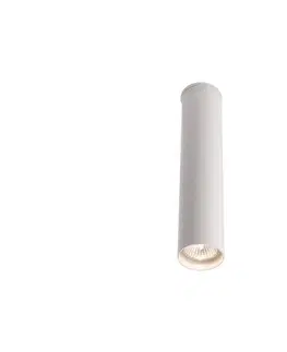 Svietidlá -  7010 - Bodové svietidlo ARIDA 1xGU10/15W/230V 30 cm biela 