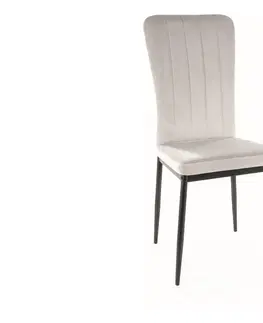 Jedálenské stoličky VENDA jedálenská stolička, svetlošedá 