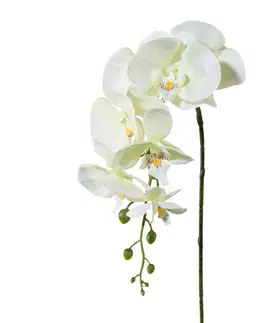 Kvety Umelá Orchidea biela, 86 cm 305303-50