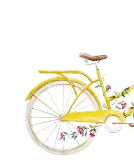 Samolepiace tapety Samolepiaca tapeta ilustrácia retro bicykla