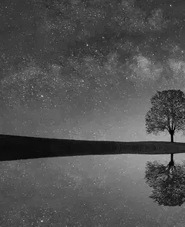 Samolepiace tapety Samolepiaca fototapeta čiernobiela hviezdna obloha nad osamelým stromom