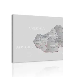 Obrazy mapy Obraz šedá mapa Slovenska s decentným kontrastom
