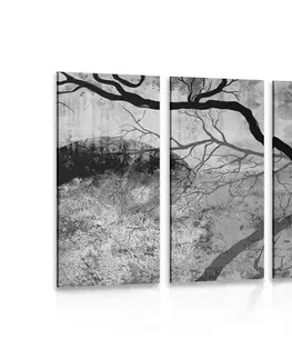 Čiernobiele obrazy 5-dielny obraz surrealistické stromy v čiernobielom prevedení