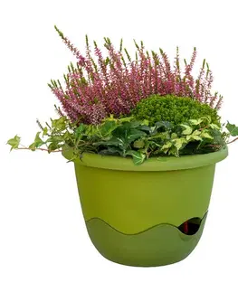 Kvetináče a truhlíky Samozavlažovací závesný kvetináč Mareta, zelená, 30 cm, Plastia