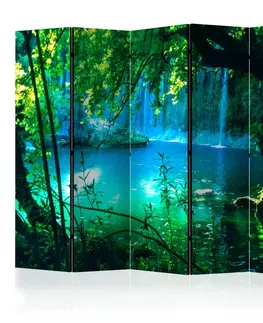 Paravány Paraván Kursunlu Waterfalls Dekorhome 225x172 cm (5-dielny)