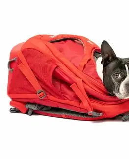 Batohy Kurgo G-TRAIN K9 športový batoh na psa, červená