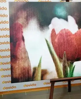 Obrazy kvetov Obraz lúka tulipánov v retro štýle
