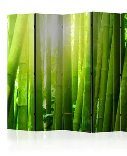 Paravány Paraván Sun and bamboo Dekorhome 135x172 cm (3-dielny)
