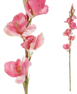 Kvety Umelá kvetina Gladiola ružová, 10 x 85 x 10 cm