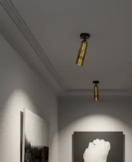 Bodové svetlá Top Light Neo! Spot Wall/Ceiling LED bodové svetlá VN mosadz
