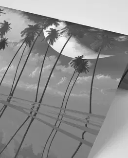 Samolepiace tapety Samolepiaca tapeta čiernobiele tropické palmy