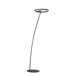 Stojacie lampy Paul Neuhaus Paul Neuhaus Titus stojaca LED, antracit, stmievač