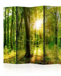 Paravány Paraván Forest Rays Dekorhome 225x172 cm (5-dielny)