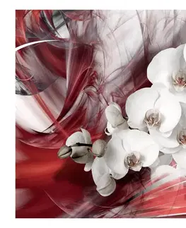 Tapety kvety Fototapeta červená orchidea - Orchid in red