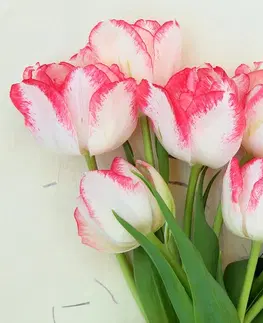 Samolepiace tapety Samolepiaca fototapeta jarné tulipány