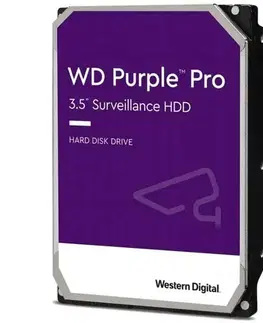 Pevné disky WD 10 TB Purple 3,5", SATAIII, 7500256 MB, IntelliPower, pevný disk WD101PURP