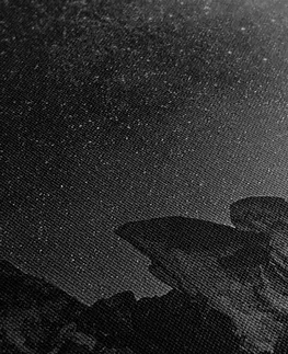 Čiernobiele obrazy Obraz hviezdna obloha nad skalami v čiernobielom prevedení